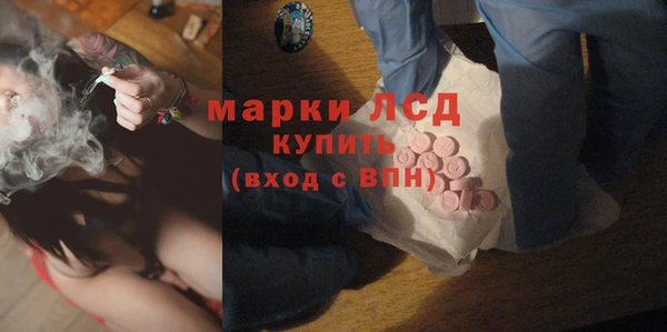 ГАЛЛЮЦИНОГЕННЫЕ ГРИБЫ Коряжма