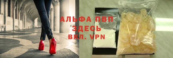 мяу мяу мука Корсаков