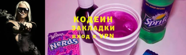 индика Костерёво