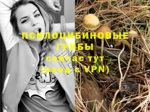 ГАЛЛЮЦИНОГЕННЫЕ ГРИБЫ Коряжма