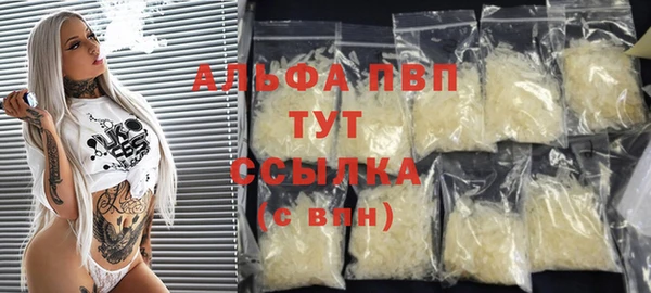 индика Костерёво