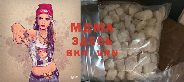 индика Костерёво