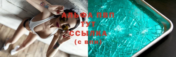 индика Костерёво