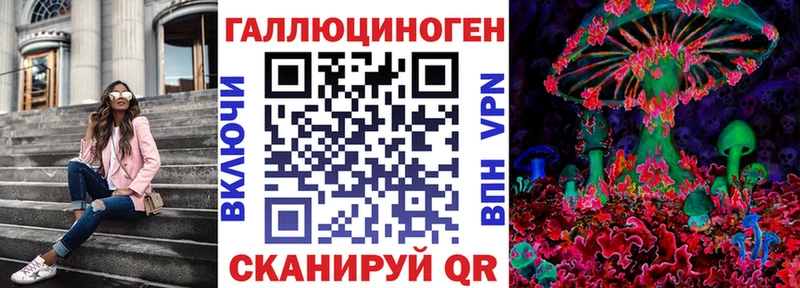 MEGA как войти  Энгельс  Галлюциногенные грибы Psilocybe 